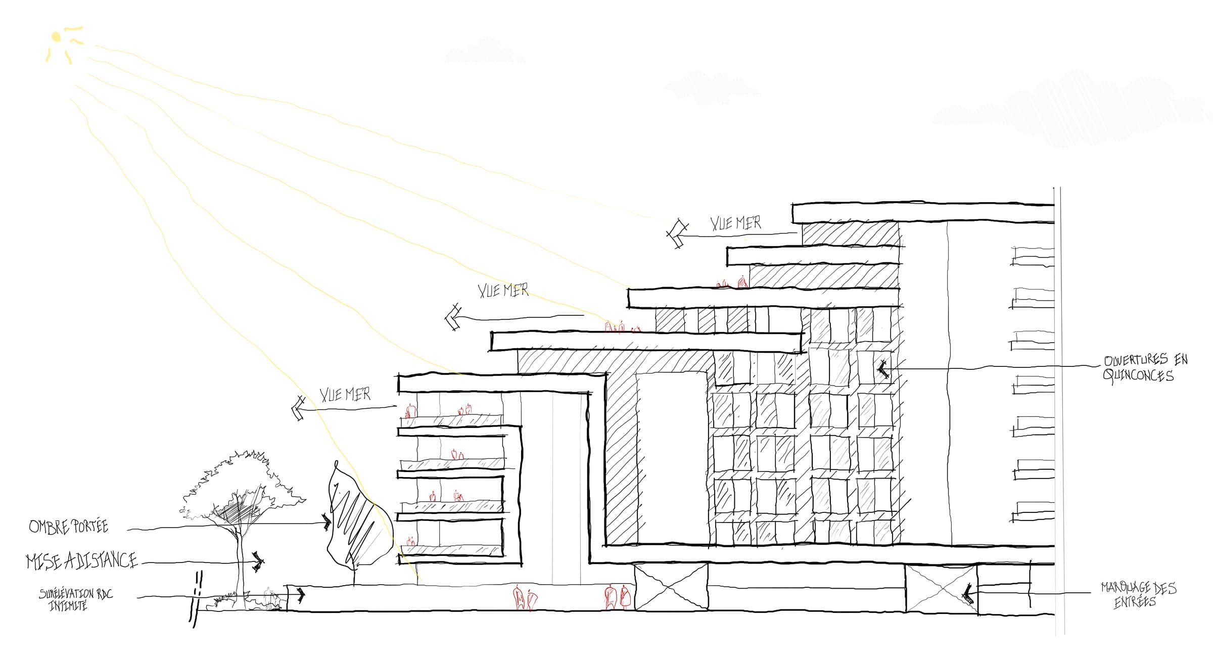 Coupe croquis : terrasses en retrait ouvertes sur la vue mer